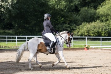 Bild 342 - Pony Akademie Turnier